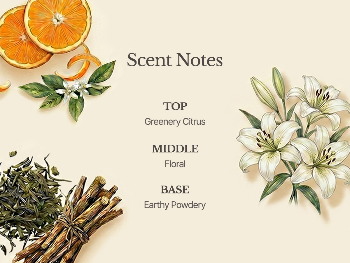 Product detail 8