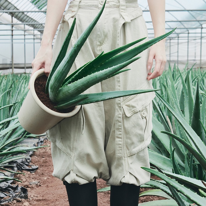 aloe barrier support moisturizer_3