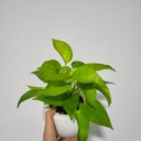 hmk_test