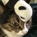 setoka