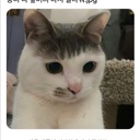 ppoppone_unni