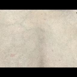 name