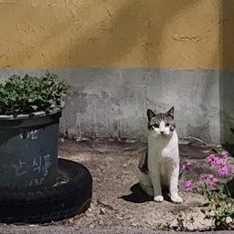 name